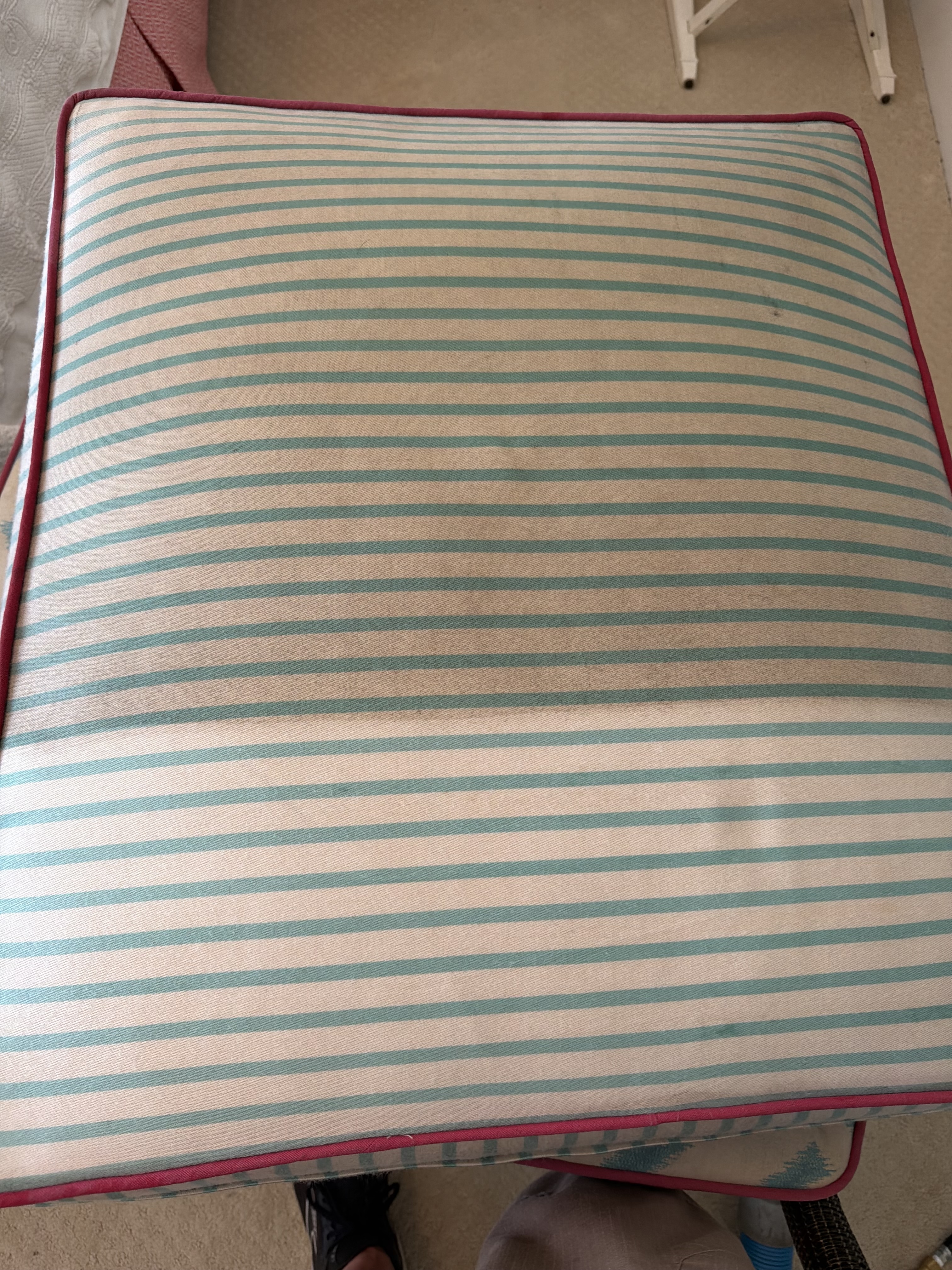 Outdoor and indoor upholstery cleaning — refreshed cushion and furniture fabric.