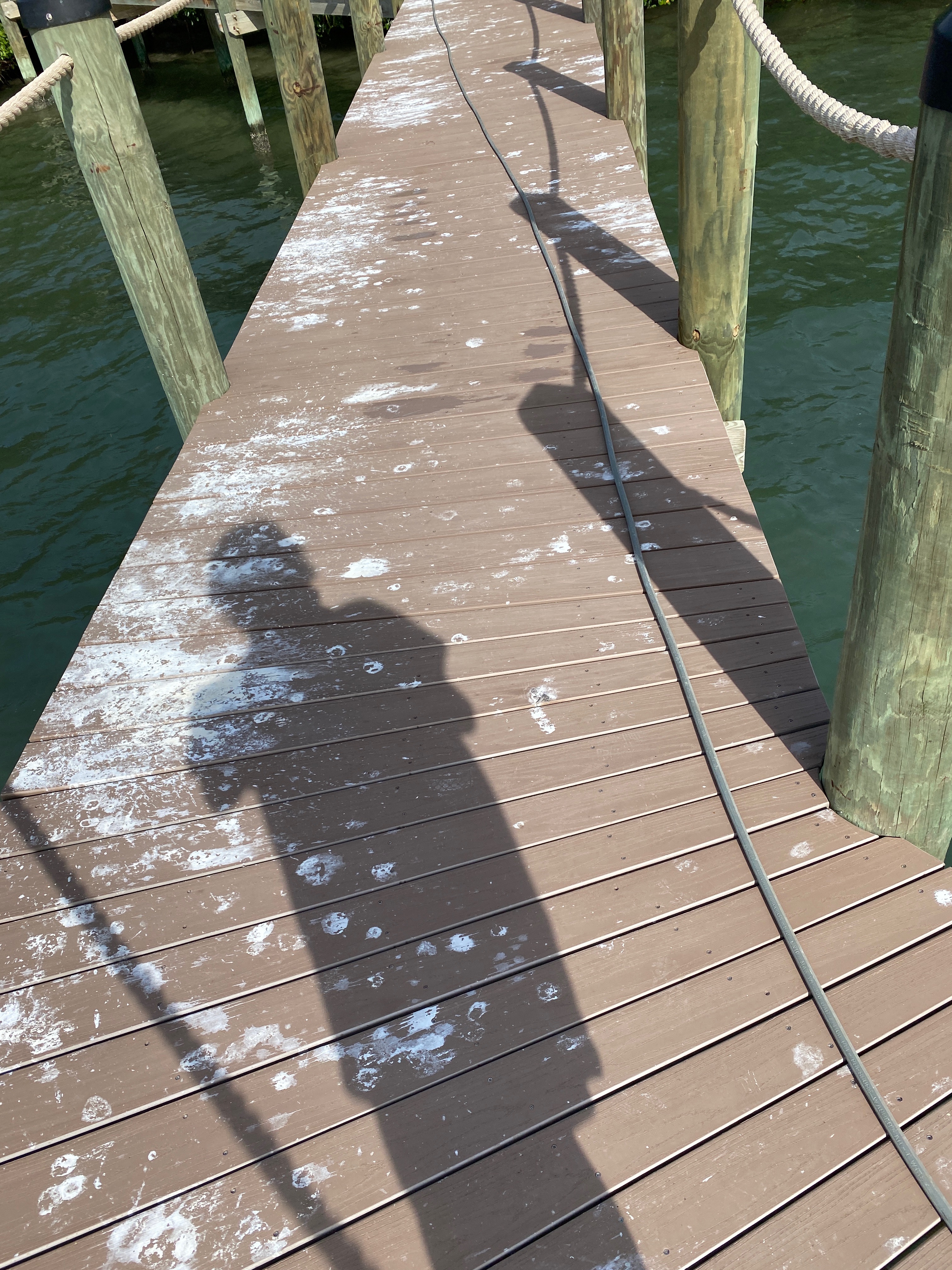 Dock walkway before and after — planking rinsed clean over the water.