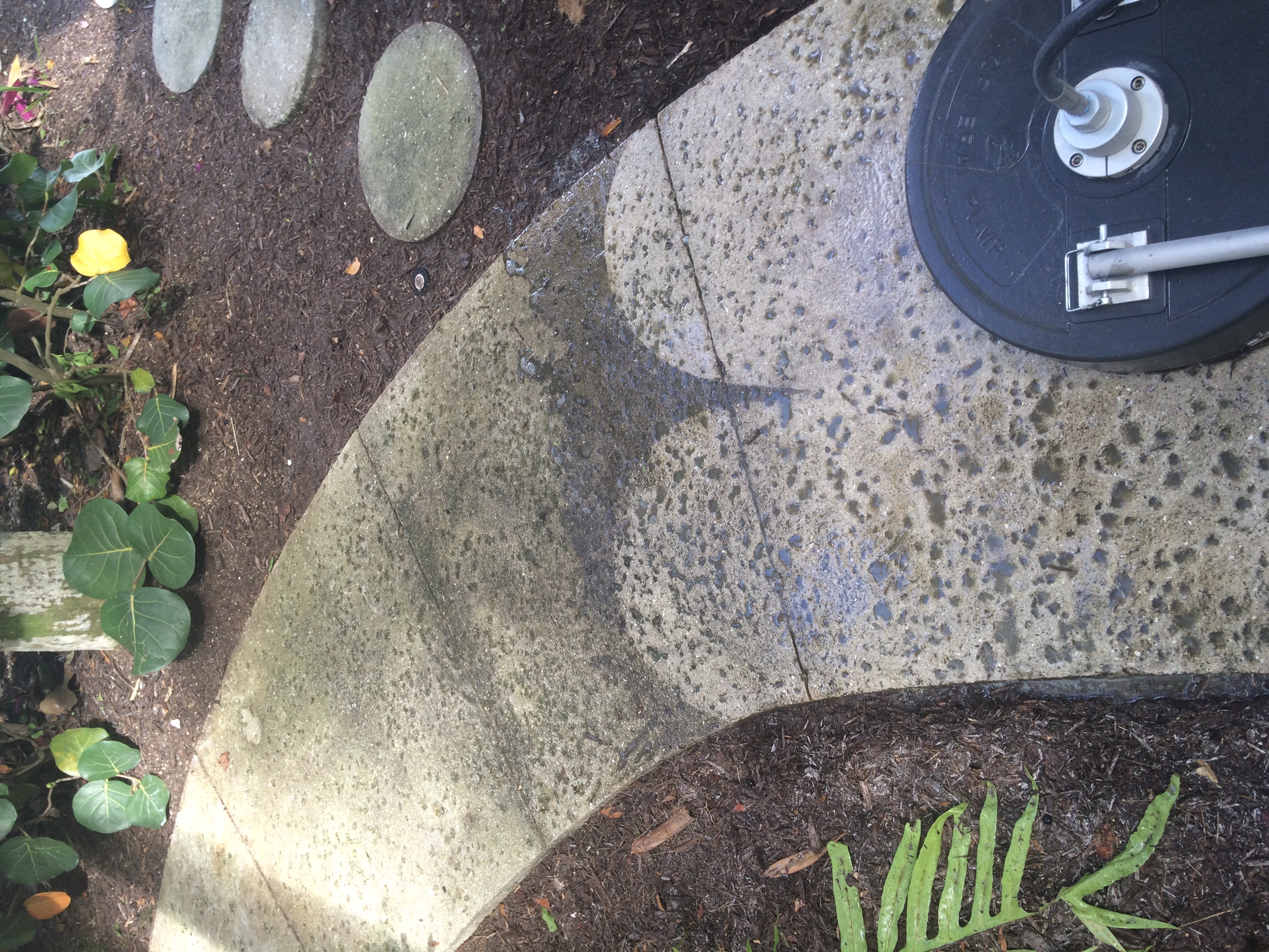 Concrete sidewalk cleaning — surface cleaner line on a curved walk.